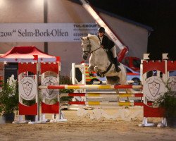 jumper Fein Cera S (German Sport Horse, 2011, from Cero)