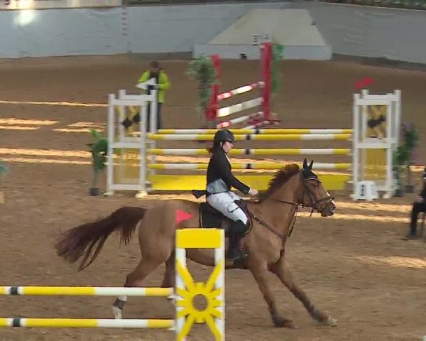 Reitturnier Kreuth 2023