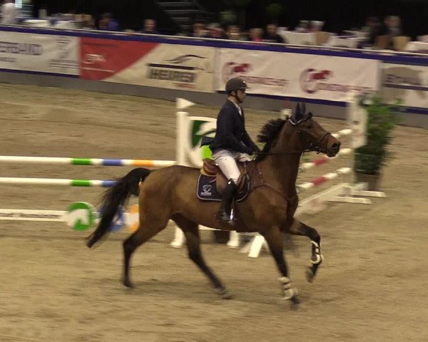 FEI Reitturnier Neumünster (GER) 2021