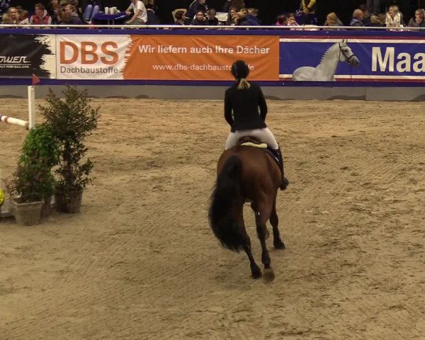 FEI Reitturnier Neumünster (GER) 2021