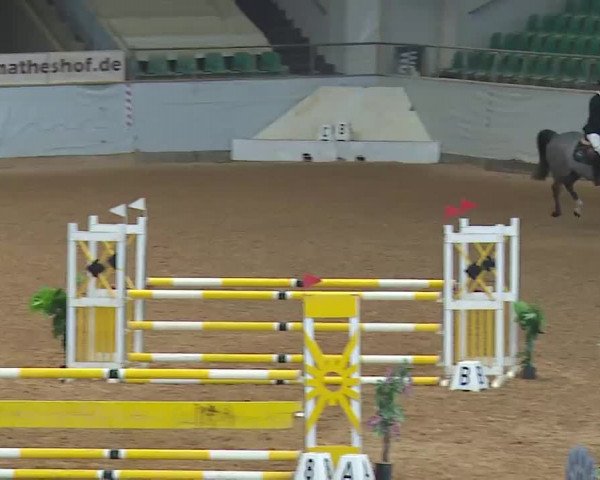 Reitturnier Kreuth 2023