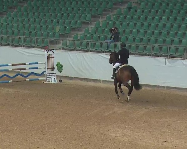 Reitturnier Kreuth 2023