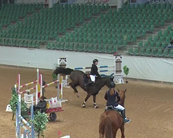 Reitturnier Kreuth 2023