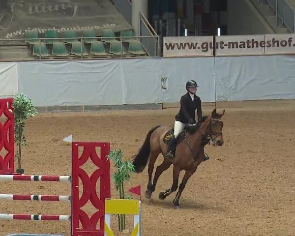 Reitturnier Kreuth 2023