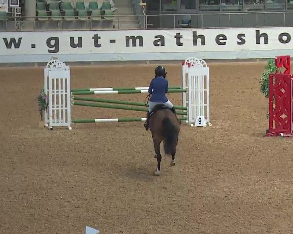 Reitturnier Kreuth 2023