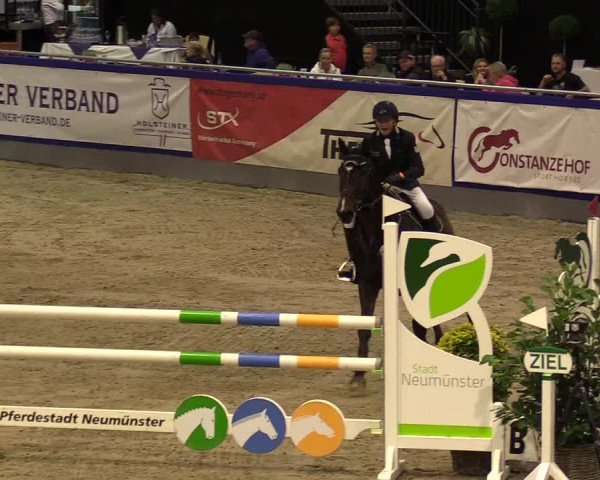 FEI Reitturnier Neumünster (GER) 2021