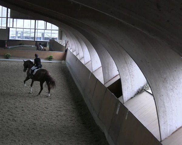 Reitturnier Ratingen 2023