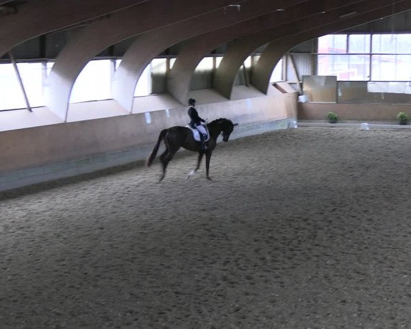 Reitturnier Ratingen 2023