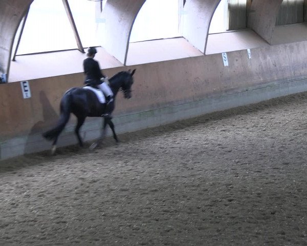 Reitturnier Ratingen 2023