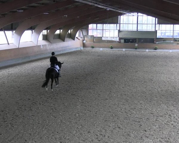 Reitturnier Ratingen 2023