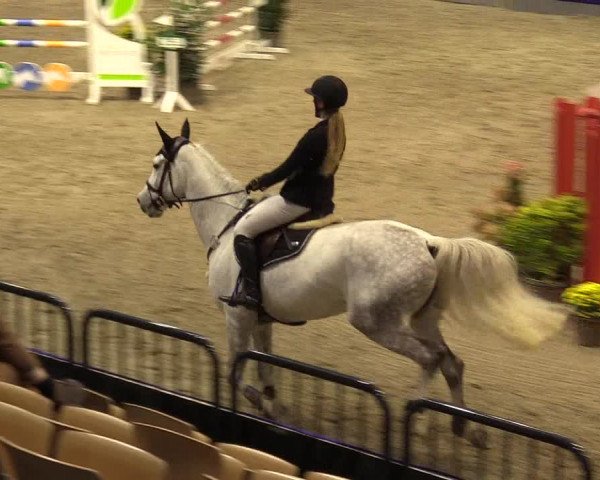 FEI Reitturnier Neumünster (GER) 2021