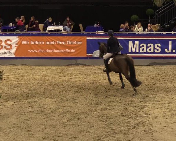 FEI Reitturnier Neumünster (GER) 2021