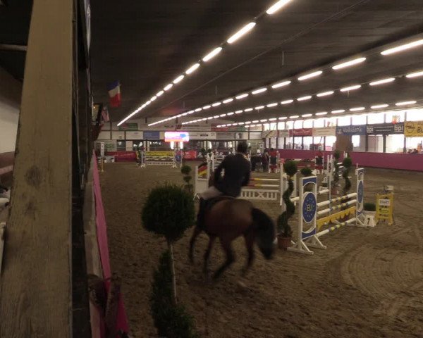 Reitturnier Vlotho-Exter 2023