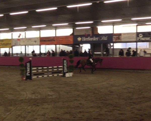 Reitturnier Vlotho-Exter 2023