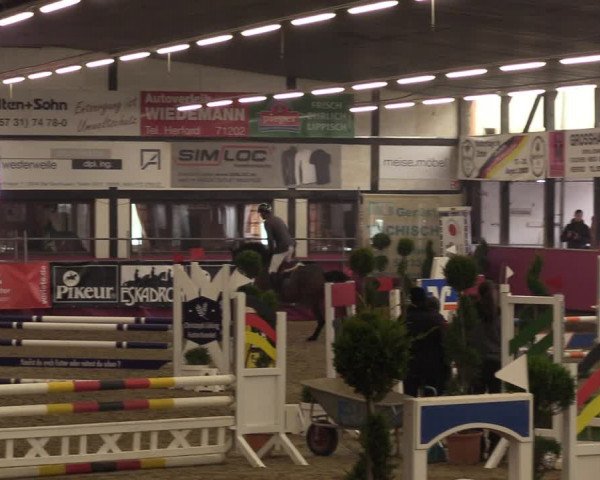 Reitturnier Vlotho-Exter 2023