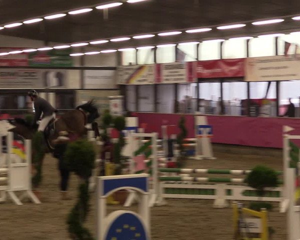Reitturnier Vlotho-Exter 2023