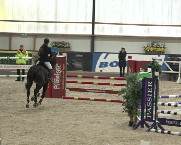 Reitturnier Borken 2023