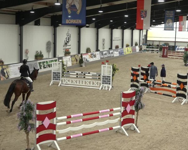 Reitturnier Borken 2023