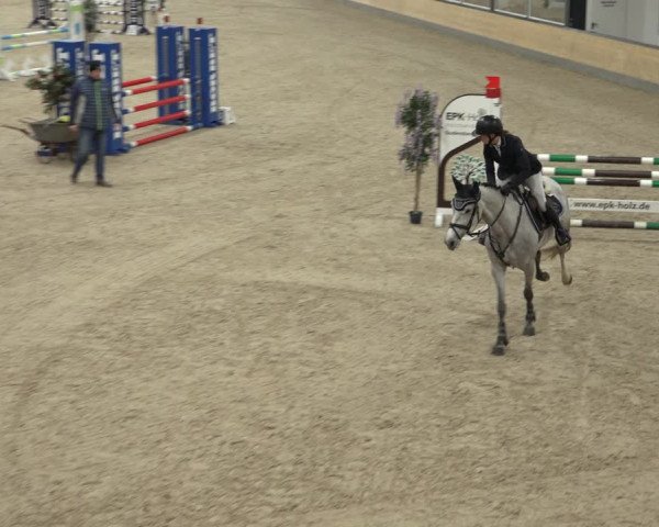 Reitturnier Borken 2023