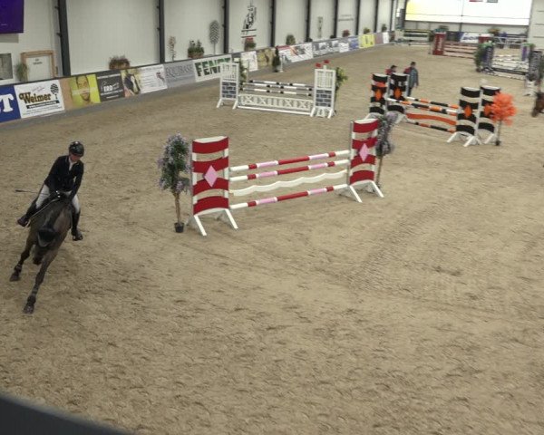 Reitturnier Borken 2023