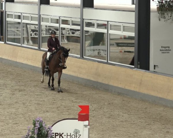 Reitturnier Borken 2023