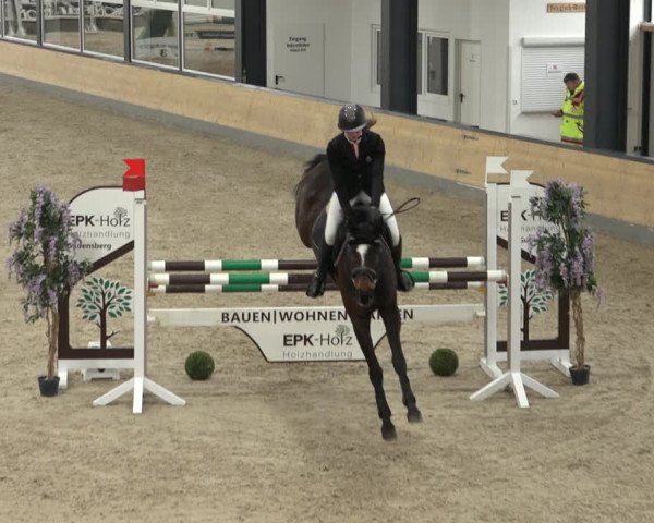 Reitturnier Borken 2023