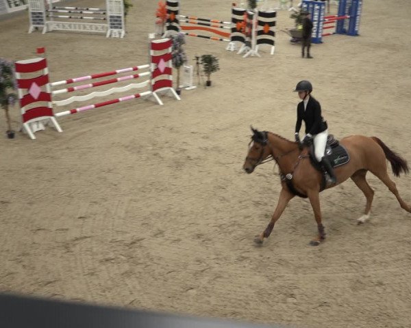 Reitturnier Borken 2023