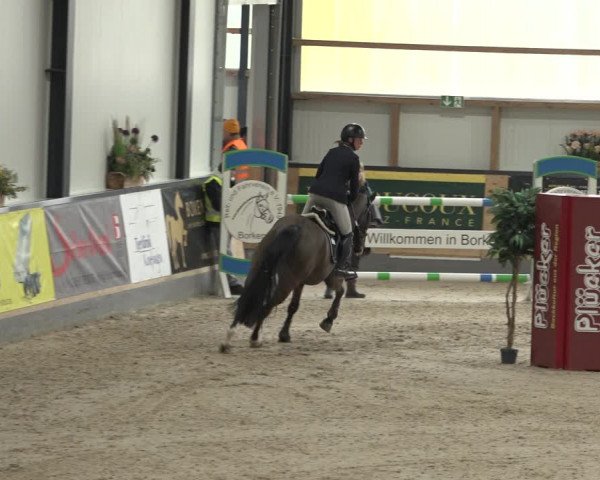 Reitturnier Borken 2023