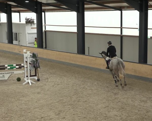 Reitturnier Borken 2023