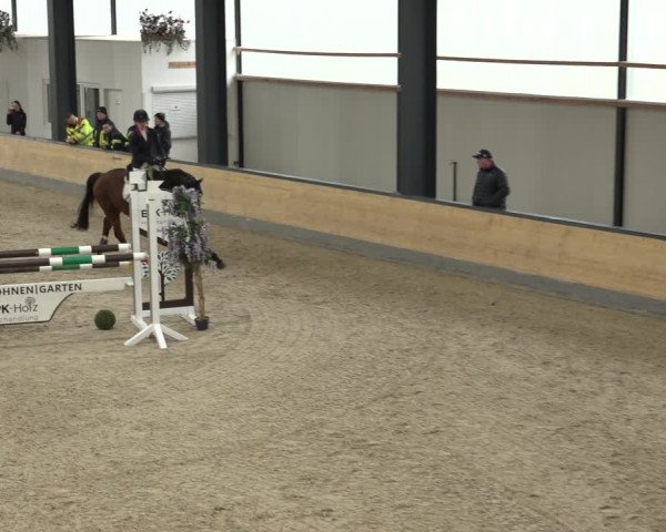 Reitturnier Borken 2023