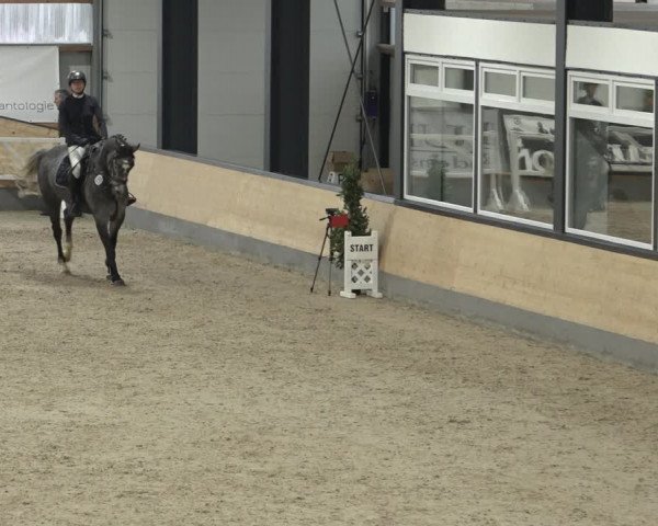 Reitturnier Borken 2023