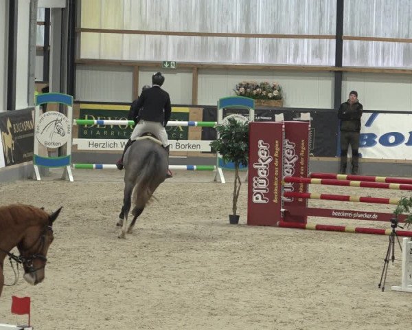 Reitturnier Borken 2023