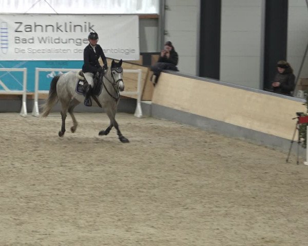 Reitturnier Borken 2023