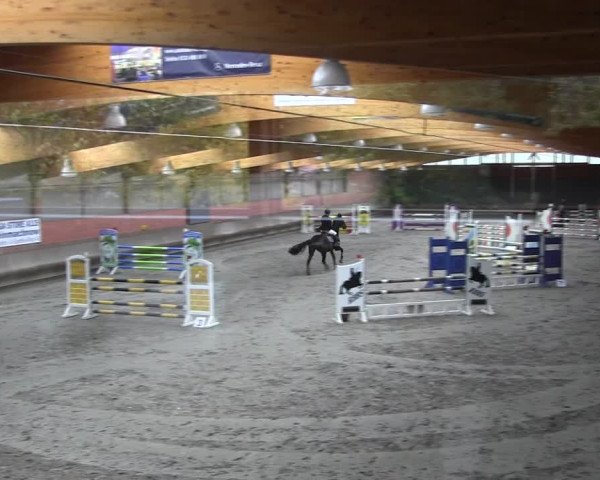 Reitturnier Tremsdorf, Eichenhof 2021