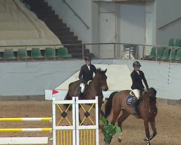 Reitturnier Kreuth 2023