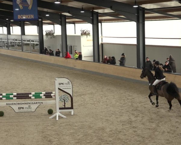 Reitturnier Borken 2023