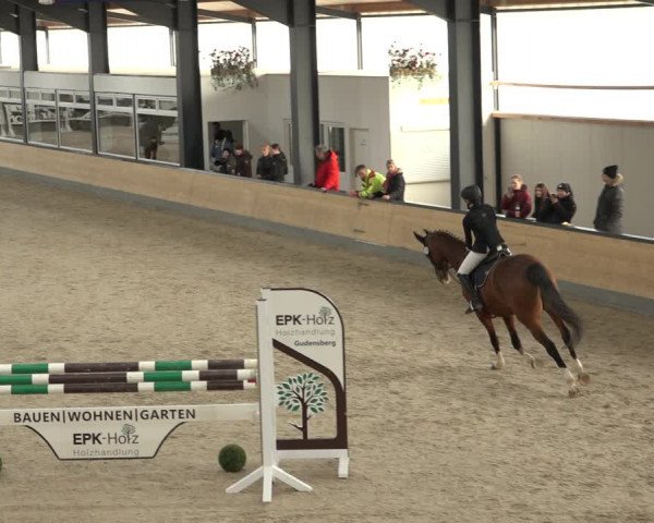 Reitturnier Borken 2023
