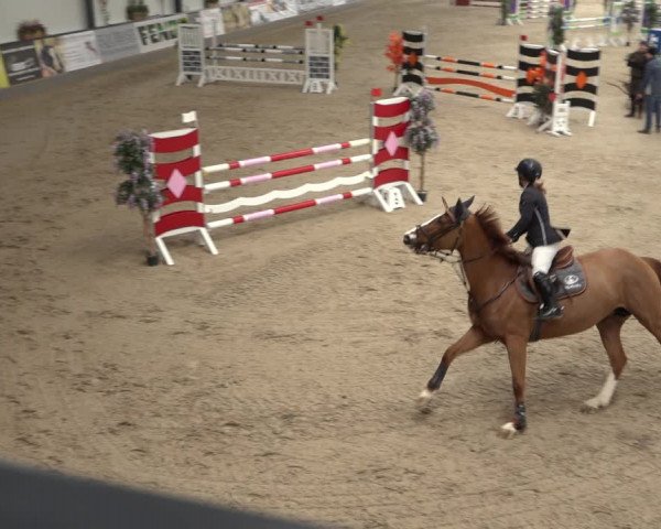 Reitturnier Borken 2023