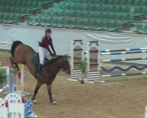 Reitturnier Kreuth 2023