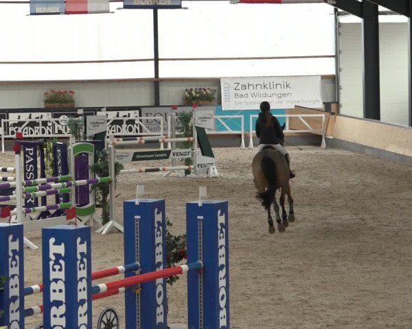 Reitturnier Borken 2023