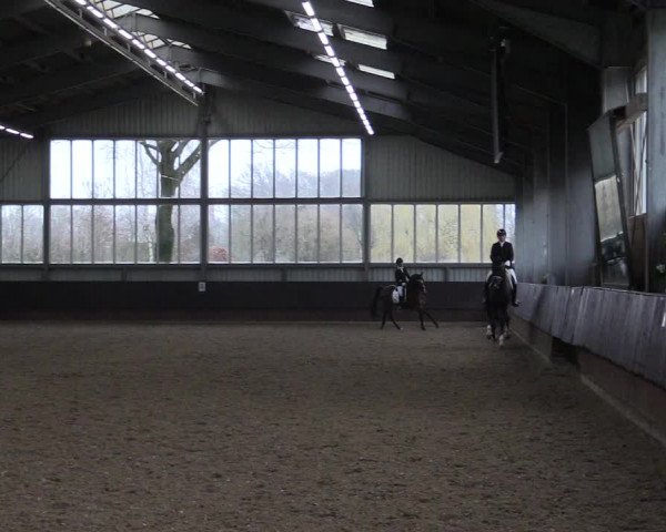 Reitturnier Greven 2023