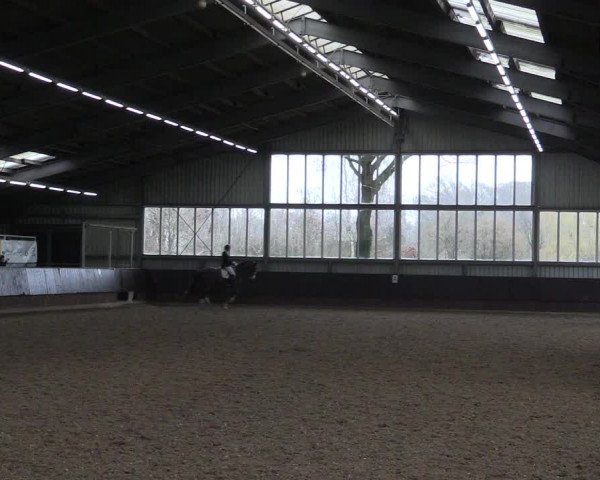Reitturnier Greven 2023