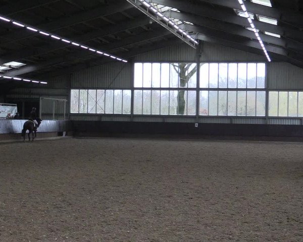 Reitturnier Greven 2023