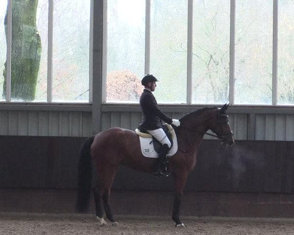 Reitturnier Greven 2023