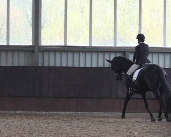 Reitturnier Greven 2023