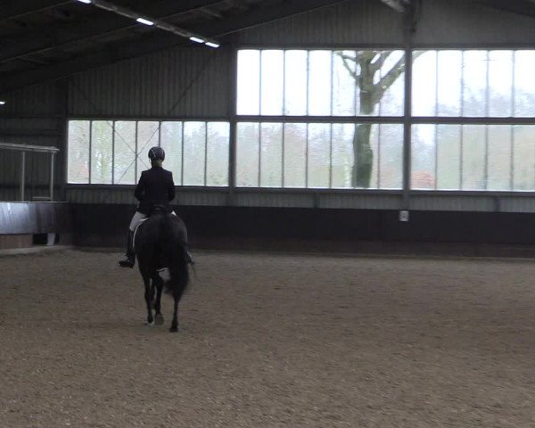 Reitturnier Greven 2023