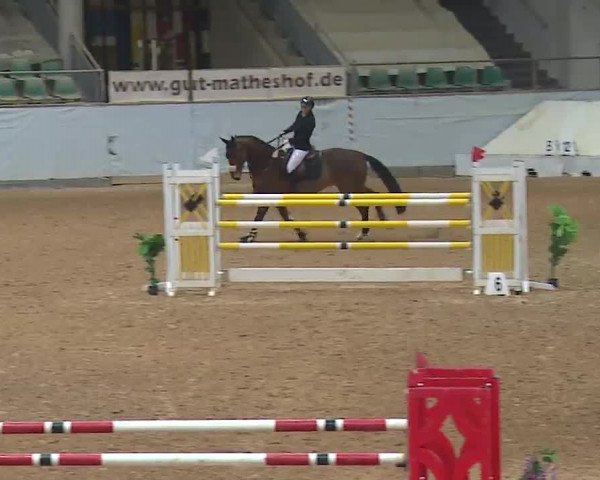 Reitturnier Kreuth 2023