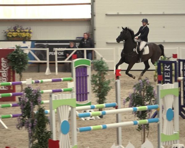 Reitturnier Borken 2023