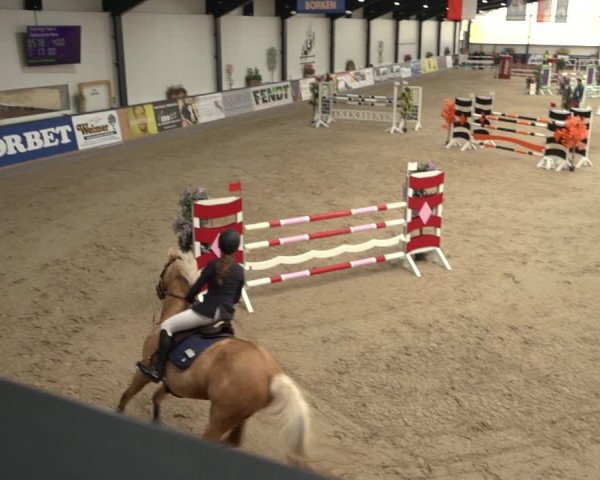 Reitturnier Borken 2023