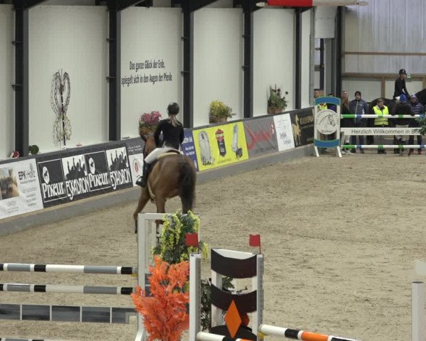 Reitturnier Borken 2023